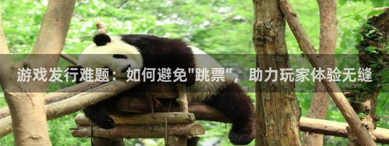 陕西新宝GG子文化创意有限公司是做什么的：游戏发行难题：如何避免\