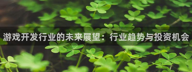 新宝GG平台：游戏开发行业的未来展望：行业趋势与投资机会