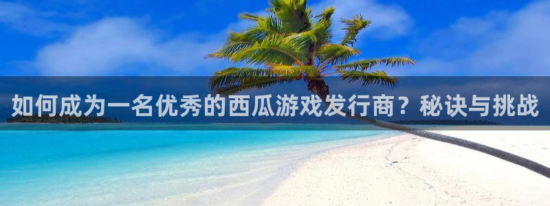 新宝GG子最好看的小说：如何成为一名优秀的西瓜游戏发行商？秘诀与挑战