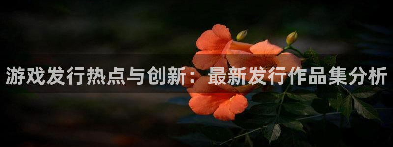 新宝GG平台：游戏发行热点与创新：最新发行作品集分析