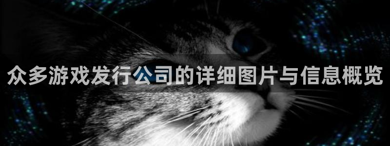 新宝GG子上市了吗