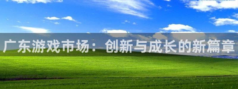 广州新宝GG网络科技有限公司