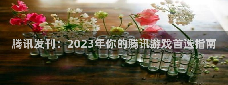 新宝GG官网注册平台官网下载：腾讯发刊：2023年你的腾讯游戏首选指南