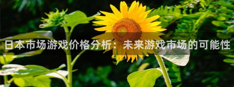 新宝GG官网代理开号多少钱：日本市场游戏价格分析：未来游戏市场的可能性