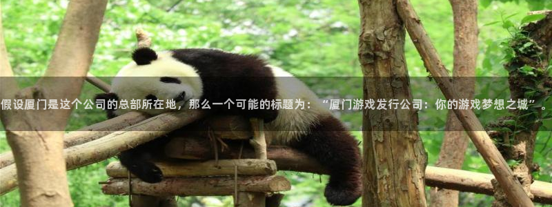 新宝GG官网官网注册账号：假设厦门是这个公司的总部所在地，那么一个可能的标题为：“厦门游戏发行公司：你的游戏梦想之城”。