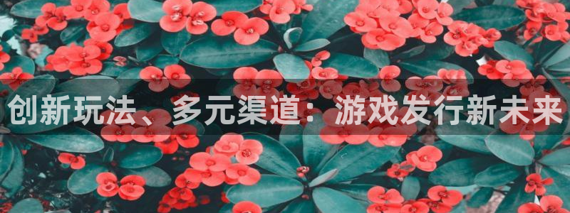 新宝GG子财经丛书：创新玩法、多元渠道：游戏发行新未来