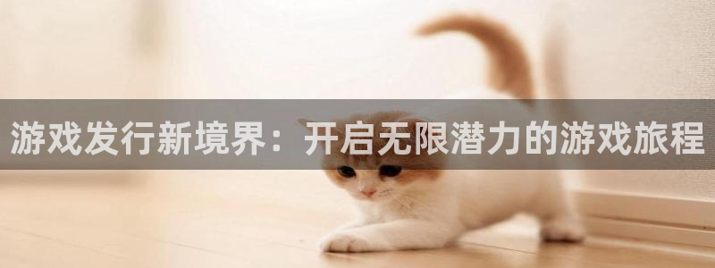 新宝GG是什么品牌