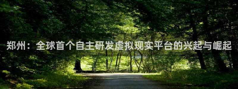 陕西新宝GG子文化创意骗局