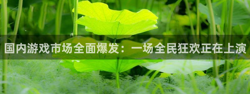 广东新宝GG：国内游戏市场全面爆发：一场全民狂欢正在上演