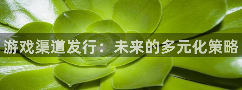 新宝GG官网注册方法有哪些软件：游戏渠道发行：未来的多元化策略