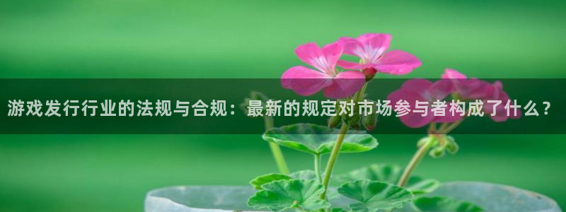 广东新宝GG：游戏发行行业的法规与合规：最新的规定对市场参与者构成了什么？