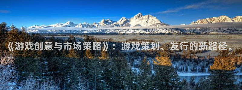 江苏新宝GG人力资源有限公司怎么样：《游戏创意与市场策略》：游戏策划、发行的新路径。