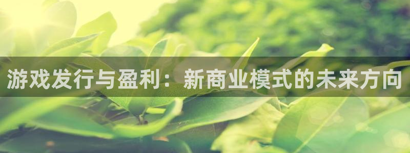 新宝GG官网登录注册账号失败怎么办：游戏发行与盈利：新商业模式的未来方向