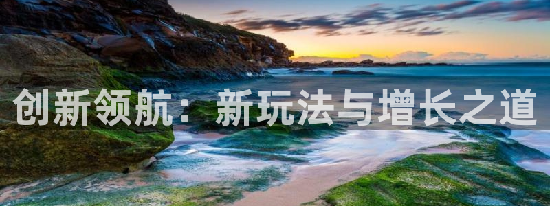 新宝GG子经理人读后感：创新领航：新玩法与增长之道