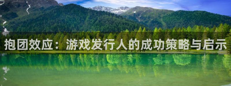 新宝GG涂料怎么样：抱团效应：游戏发行人的成功策略与启示