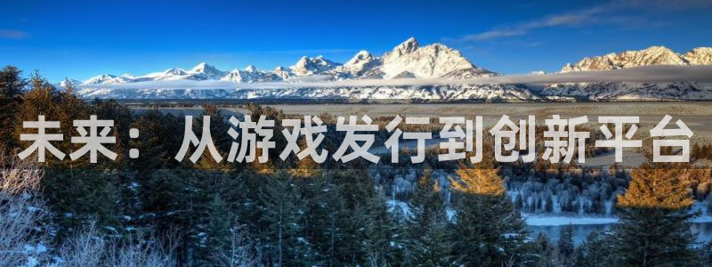 新宝GG娱乐测速官网：未来：从游戏发行到创新平台