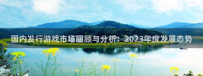 新宝GG军团是哪个国家队：国内发行游戏市场回顾与分析：2023年度发展态势