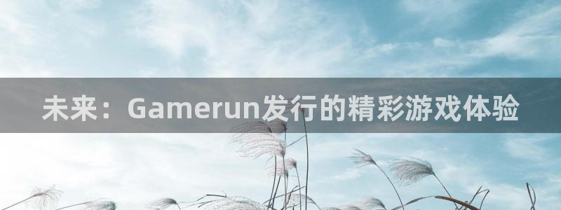 新宝GG官网注册平台官网