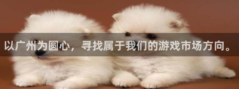 深圳新宝GG电商